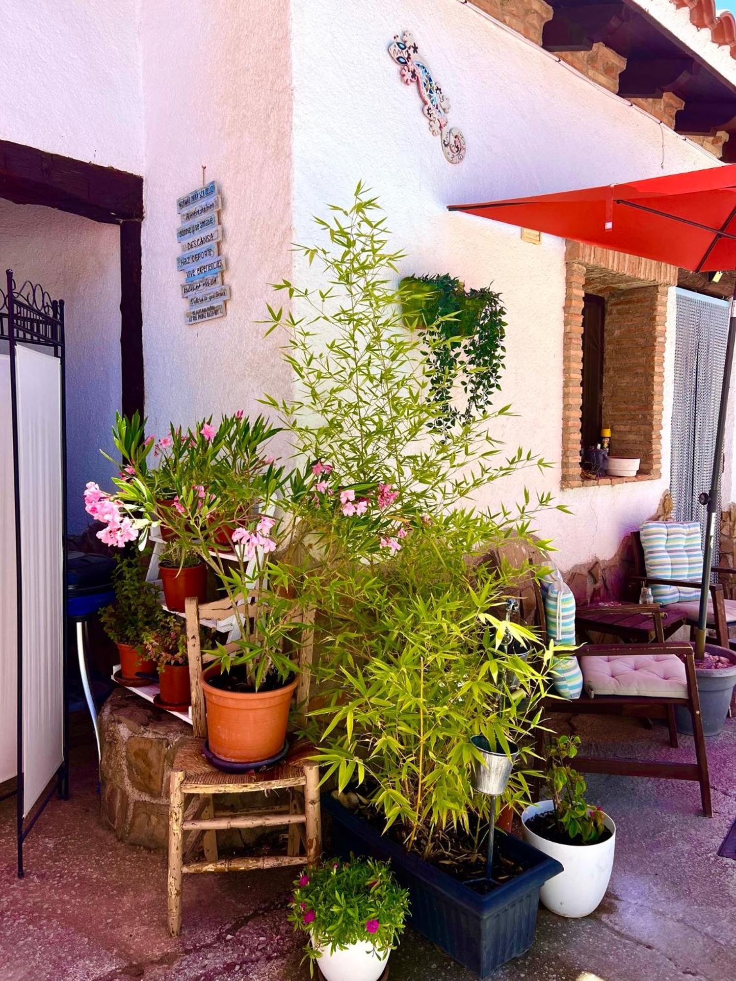 Los Carriones Cuevas De La Paz - Cave House Holidays מראה חיצוני תמונה